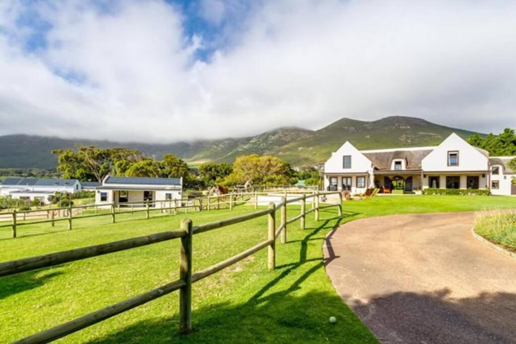 Serene, Thatched Apartment In Noordhoek, Кейптаун Екстериор снимка